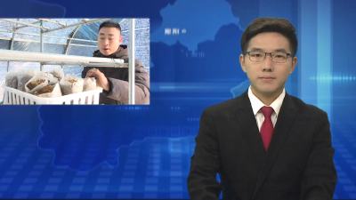 谭家湾镇：发展珍稀菌产业 扩展群众增收渠道