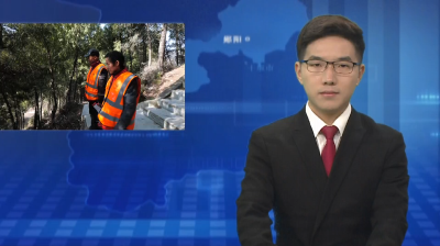 郧阳区：强化森林安全 守护青山永绿