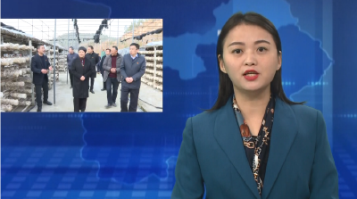 胡志莉参加市委政法委机关党支部 大岭山村党总支部联合主题党日活动