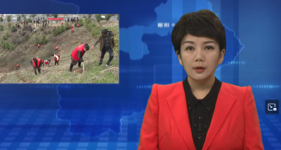 郧阳区多乡镇开展植树活动