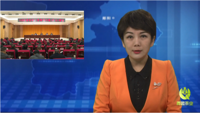 区委农村工作会议暨区委农村工作领导小组（扩大）例会召开