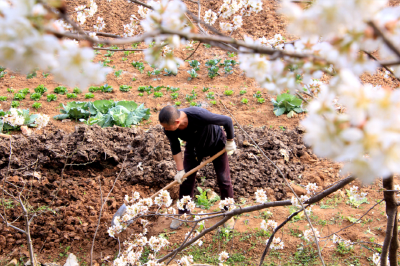 春天里，郧阳人可真忙碌~