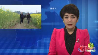 胡先平到柳陂镇调研生态环保工作