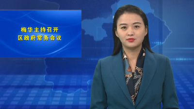 梅华主持召开区政府常务会议