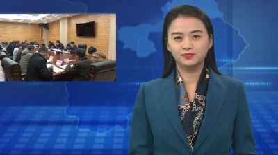 胡先平主持区委人才工作领导小组会议