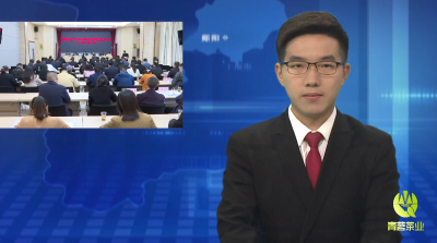 郧阳区2024年宣传思想文化工作会议召开