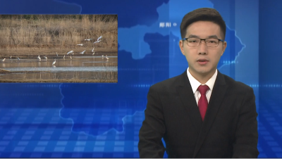 郧阳水源区成候鸟“打卡”地