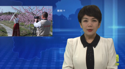 鲍沟村：“桃花经济” 引爆乡村旅游