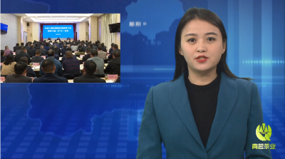 区委教育工作领导小组（扩大）会议召开