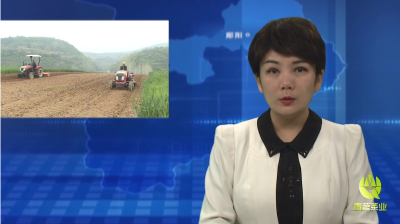 梅铺镇：红薯春耕 农机助力