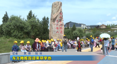 东方橄榄园迎来研学热