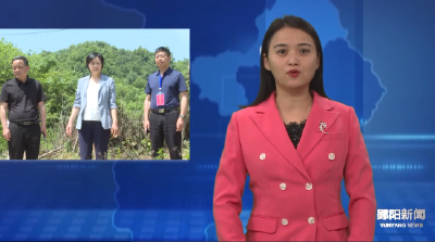 市人大常委会副主任黄芸到郧阳区督导并参加代表行动活动