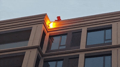 @郧阳人 蜂、蛇出没，请小心出行！