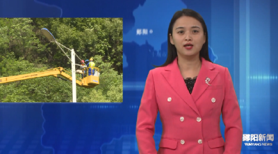 郧阳区升级改造十堰大道路灯光源  照亮群众出行路