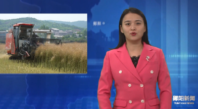 郧阳夏收喜开镰  农机服务助农增产增收