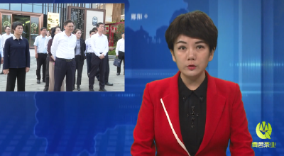 省农业农村厅副厅长陈志勇到郧阳区调研