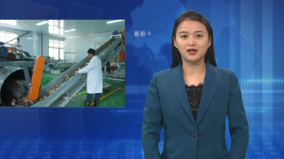 叶大乡：发展葛根产业 助力乡村振兴