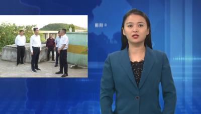 胡先平到杨溪铺镇调研生态环保和防汛备汛工作