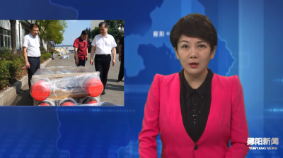 郧阳区财政局：转作风提能力 为高质量发展增势赋能