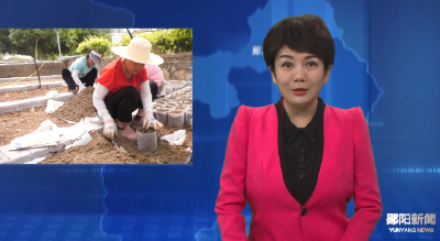 郧阳区：推进油橄榄育苗技术创新  助力乡村产业振兴