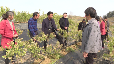 “一把手”谈深化能力作风建设｜青曲镇：以能力作风之变引领发展之变