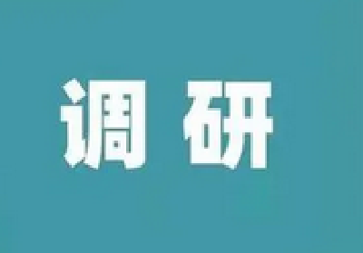 狠刹蜻蜓点水式调研虚风