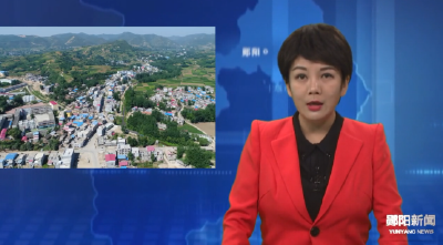 刘洞镇：以“拼抢”状态跑出发展“加速度”