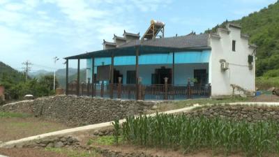 乡村振兴新画卷 | 叶大乡杨柳村：共同缔造入户道路