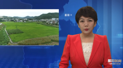 郧阳区农业农村局：强能力转作风 推动农业现代化发展