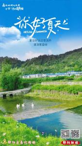 遇见郧阳｜涉企专项执行行动！涉案近800万元