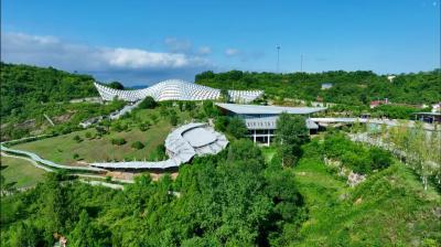 发现30周年！“恐龙的故乡