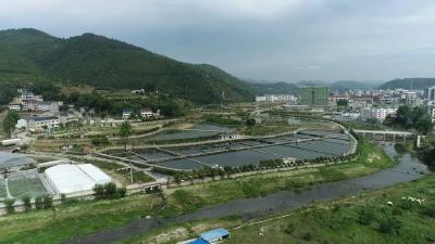 乡村振兴新画卷 | 南化塘镇：生态养鱼促增收