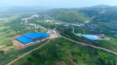 “一把手”谈深化能力作风建设 | 刘洞镇：以“拼抢”状态跑出发展“加速度”