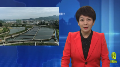 南化塘镇：生态养鱼促增收