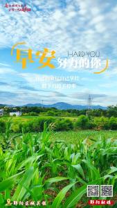 遇见郧阳｜多地公布高考录取分数线