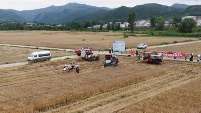 “一把手”谈深化能力作风建设 | 郧阳区农业农村局：强能力转作风 推动农业现代化发展