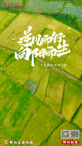 遇见郧阳｜最新！招生划片范围确定