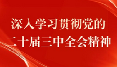 习近平就中央和国家机关学习贯彻党的二十届三中全会精神 推动机关党建高质量发展作出重要指示强调