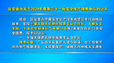 区安委办关于2024年度第三十一批安全生产隐患单位的公示