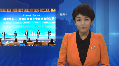 湖北郧阳-大湾区招商引资专题推介会在深圳举行