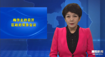 梅华主持召开区政府常务会议