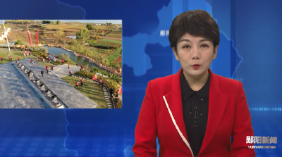 区政协开展“庆祝人民政协成立75周年