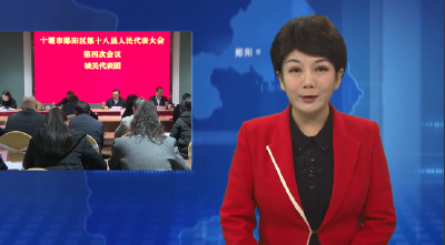 梅华参加区十八届人大四次会议部分代表团审议