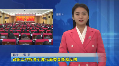 政府工作报告引发代表委员热烈反响
