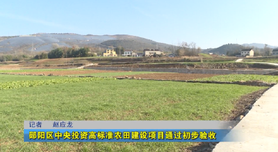 郧阳区中央投资高标准农田建设项目通过初步验收
