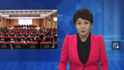 中国少年先锋队郧阳区第二次代表大会第一次全体会议召开