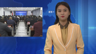 成坤在全区矛盾纠纷排查化解专项行动调度会上强调：完善机制 压实责任 全力维护平安稳定