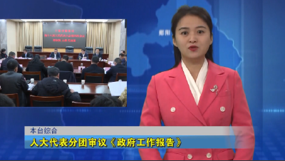 人大代表分团审议《政府工作报告》