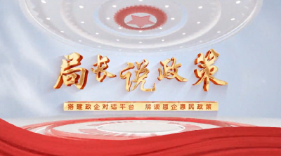 区审计局解读强化审计监督 优化营商环境政策