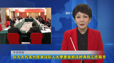 区人大代表分团审议区人大常委会和法检两院工作报